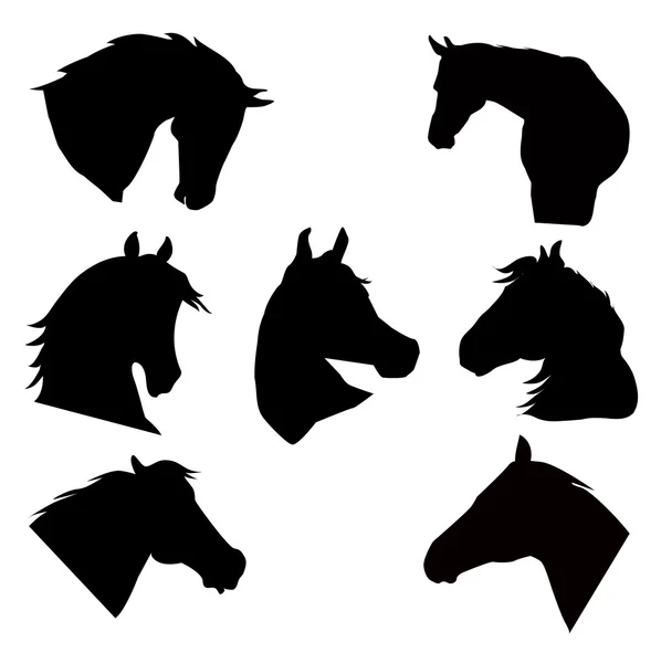 Horse — Stock Vector