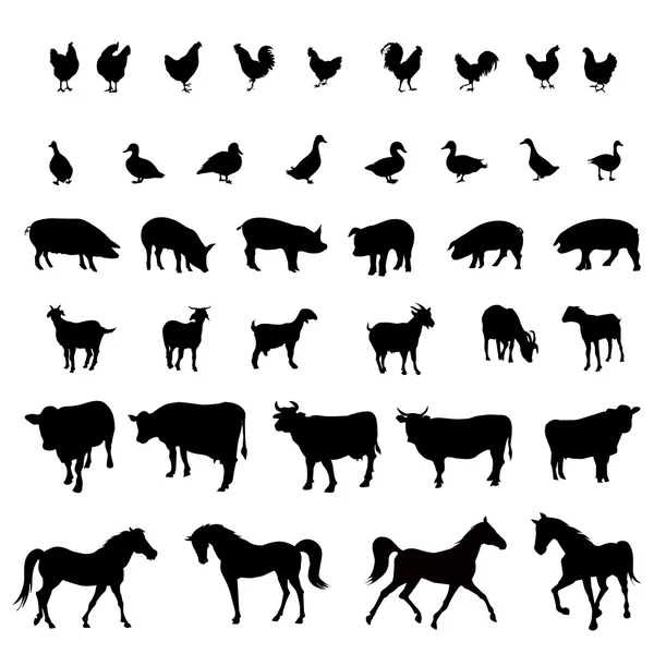 Grupo de animales de granja — Vector de stock