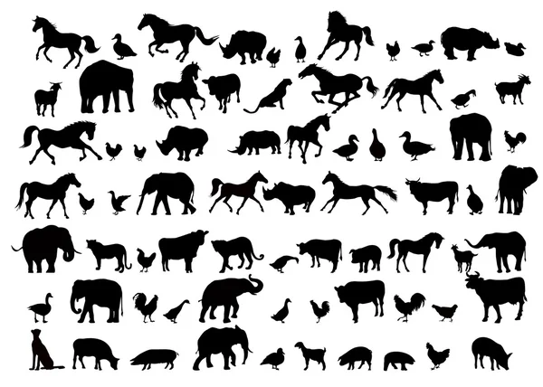 Animals & Birds Silhouette set - vector — Stock Vector