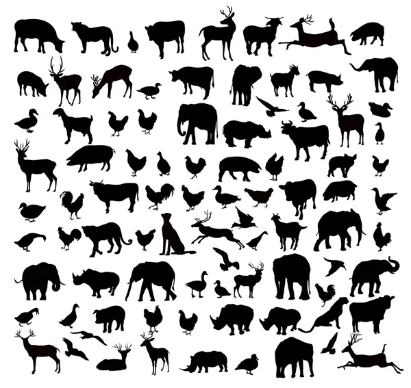 Conjunto de silueta de animales y aves - vector — Vector de stock