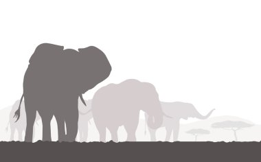 Afrika Safari filler silhouettes