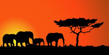 Afrika safari filler