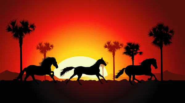 Sunset & Horse Running — Stock Vector