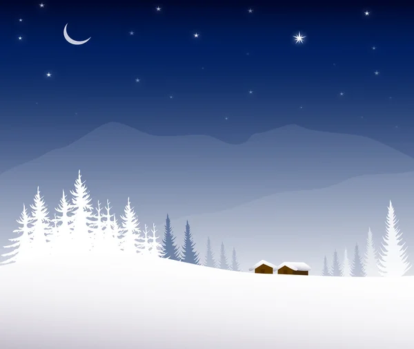 Noche de invierno Paisaje-Vector — Archivo Imágenes Vectoriales