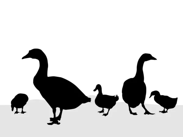 Duck & Duckling-Vector — стоковый вектор