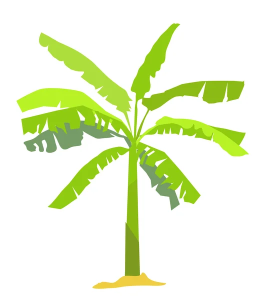 Plátano Árbol-vector — Vector de stock