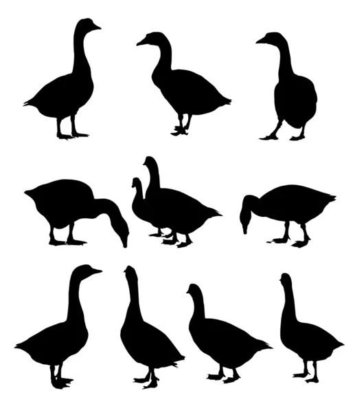 Set-Vector de silueta de pato y cisne — Vector de stock