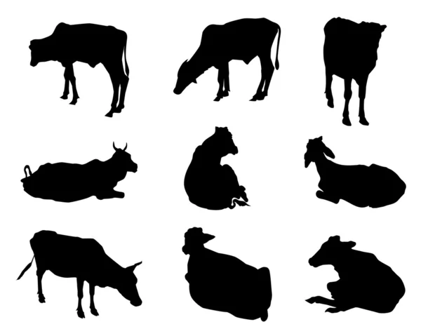 Silhouetten-Set-Vektor für Kühe — Stockvektor