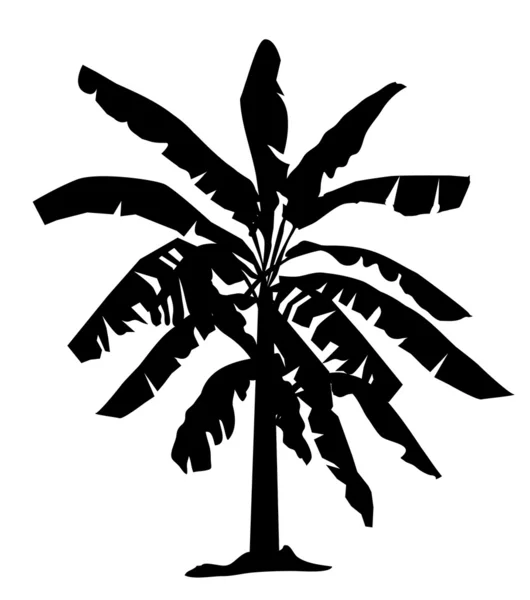 muz ağacı siluet vektör