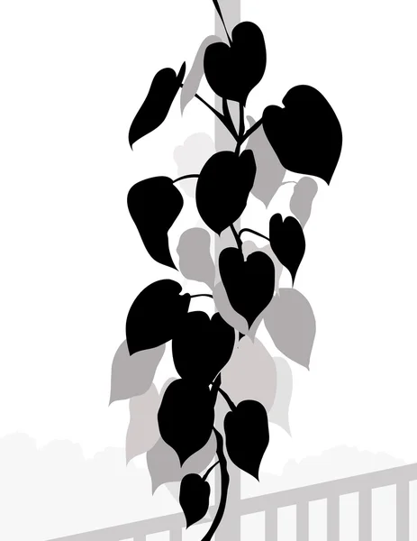 Plante Silhouette-vecteur — Image vectorielle