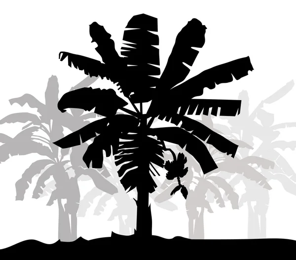 Banaan Boom silhouet-vector — Stockvector