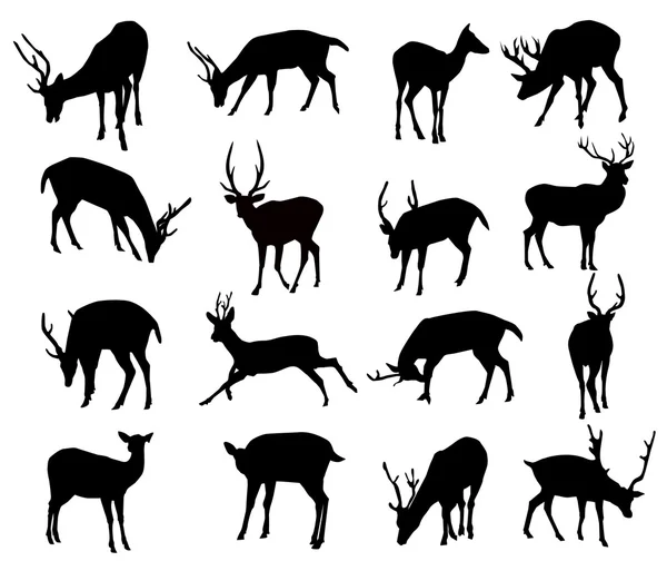 Deer Silhouette Set-Vector — Stock Vector