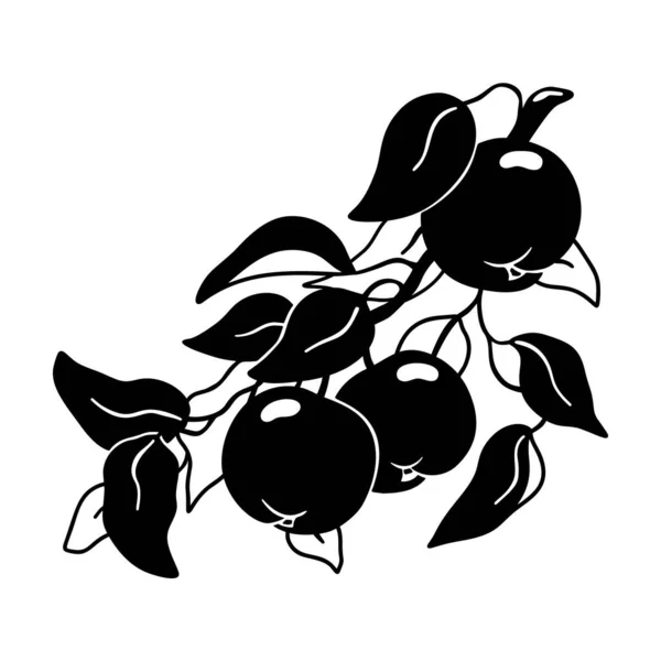 Tak Met Bladeren Tuinappels Grafisch Met Hand Getekend Silhouet Zwarte — Stockvector