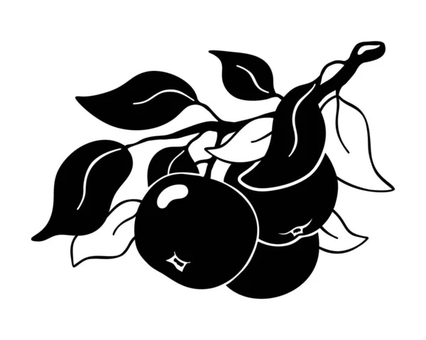Яблочный Клипарт Три Плода Ветвях Листьями Силуэт Ручной Работы Черная — стоковый вектор