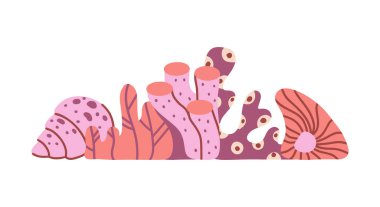 Pankart için mercan yosunu yatay çizimi, poster. El yapımı deniz unsurları. Çizgi film deniz kabuğu, su santrali, aktinya. Beyaz zemin üzerinde düz vektör. Tek renkli kırmızı renk.