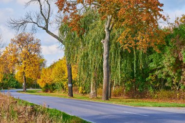 Berlin 'in çevresinde renkli sonbahar ağaçları ve bulvarı olan manzara..