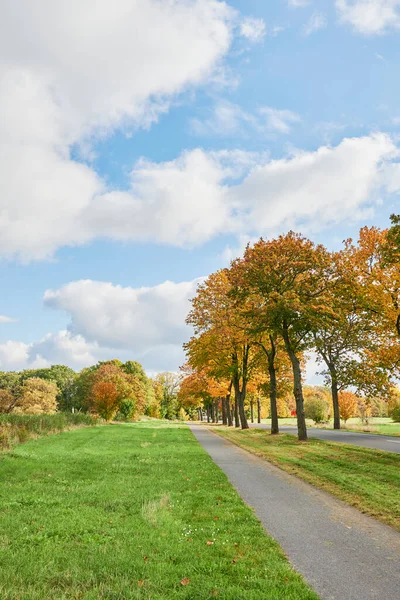 柏林周边地区有林荫大道和五彩缤纷的秋树的景观 — 图库照片
