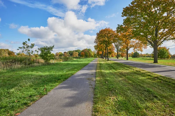 Paesaggio Con Viale Alberi Autunnali Colorati Nella Regione Circostante Berlino — Foto Stock