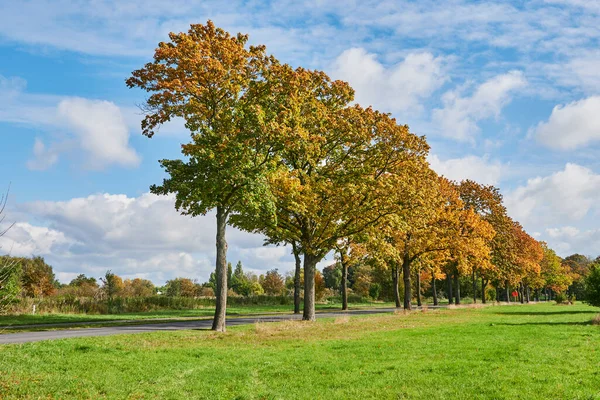 柏林周边地区有林荫大道和五彩缤纷的秋树的景观 — 图库照片