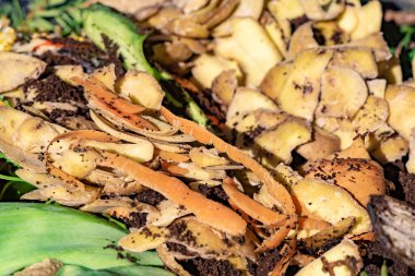 Geri dönüşüm için çeşitli organik atıkları olan bir biyo konteynıra bak.