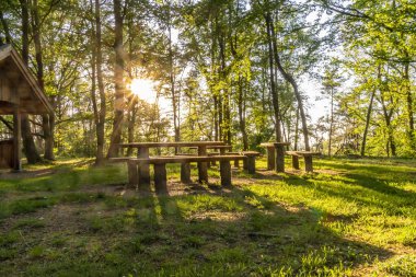 Ağaçların arasından ışıldayan batan güneşin aydınlattığı ormandaki bir dinlenme yeri..