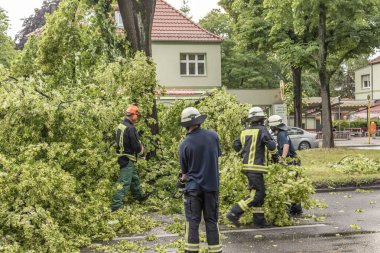 Berlin, Almanya - 12 Haziran 2019: Şiddetli bir fırtınadan sonra Almanya 'nın başkenti Berlin' de bulunan köklerinden sökülmüş bir ağaç. İtfaiyeciler yolu açmak için kesiyor..