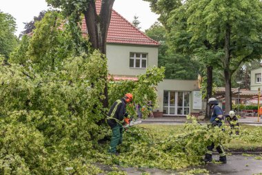 Berlin, Almanya - 12 Haziran 2019: Şiddetli bir fırtınadan sonra Almanya 'nın başkenti Berlin' de bulunan köklerinden sökülmüş bir ağaç. İtfaiyeciler yolu açmak için kesiyor..