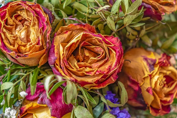 Close Bouquet Dried Roses Various Complementary Plants — Stock Photo, Image