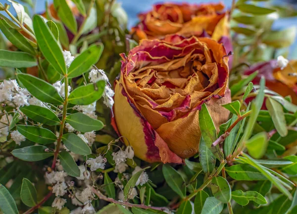 Close-up of a bouquet of dried roses and various complementary plants.