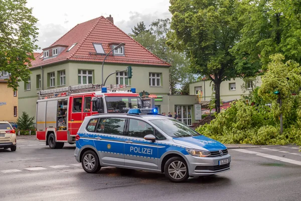 Berlin Németország 2019 Június Egy Kitépett Fekszik Egy Főúton Berlinben — Stock Fotó