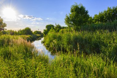 Berlin, Almanya 'nın çevresindeki küçük bir derenin üzerinde mavi gökyüzü.