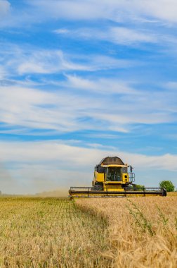 Berlin, Almanya - 05 Temmuz 2019: Berlin yakınlarında bulutlu bir gökyüzünün altında hareket eden bir hasatçının ön görüntüsü.