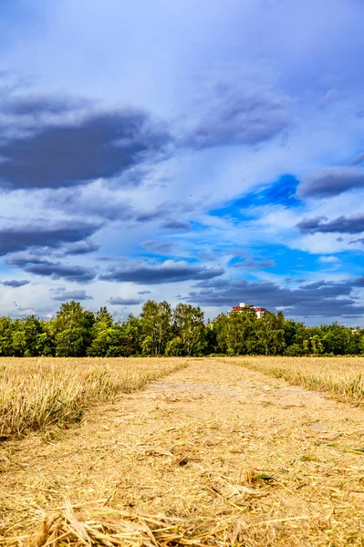 Weg Door Een Geoogst Veld Naar Een Satellietstad Berlijn Marienfelde — Stockfoto