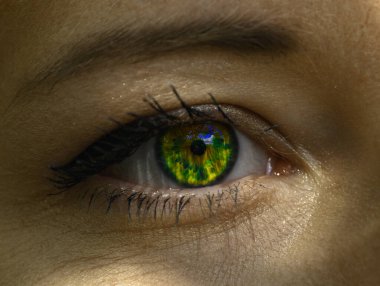 Gökyüzü ve doğanın yansıttığı iris çiçeği olan genç bir kadının gözünün yakın çekimi..