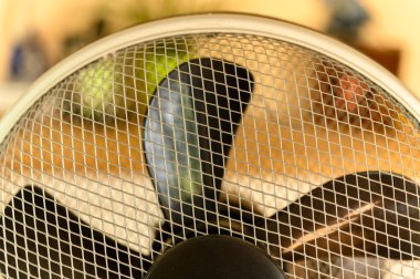 Koruyucu ızgaralı bir yelpazenin ayrıntıları.