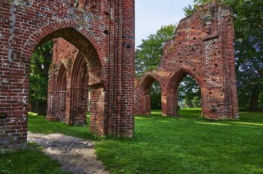 Almanya 'nın Greifswald kentindeki bir halk parkındaki ortaçağ manastırı yıkıldı..