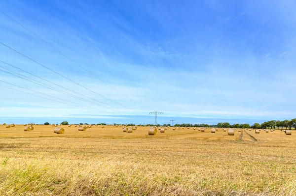 Skördade Majsfält Med Halmbalar Klarblå Himmel Bakgrunden Går Elektrisk Kraftledning — Stockfoto