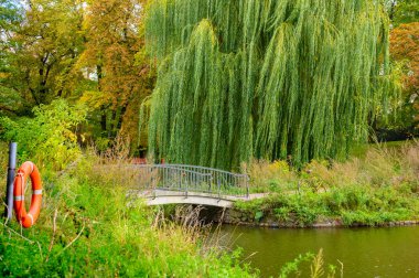 Kır manzaralı bir gölet, bir köprü ve kıyıda sonbahar renkli ağaçlar..