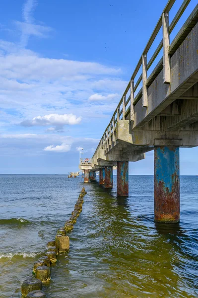 Dřevěné Groynes Pokryté Žlutozelenými Řasami Xanthophyceae Pod Molem Sloupy Betonu — Stock fotografie