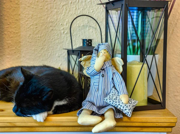 Eine Schwarze Katze Mit Weißen Pfoten Schläft Auf Einem Sideboard — Stockfoto