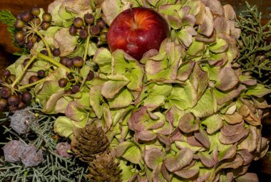 Yıl sonunda ortancalar, böğürtlenler, koniler, köknar ve bir elma ile kutlama çiçek aranjmanı.