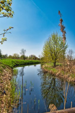 Berlin, Almanya 'nın çevresindeki küçük bir derenin üzerinde mavi gökyüzü.