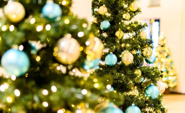 Three Christmas trees with golden and turquoise balls and lots of little lights. The focus lies on the tree in the middle. The other trees are blurred.