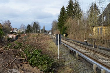 Berlin ile Almanya 'nın Dresden kenti arasındaki demiryolu bağlantısının genişletilmesi için hazırlanmak amacıyla Güney Berlin' deki bitki örtüsünün kaldırılması