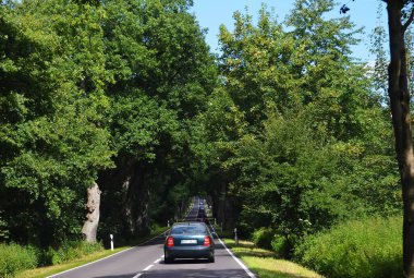 Ruegen, Almanya 'da ağaçlık bir caddede arabalar peş peşe ilerliyor