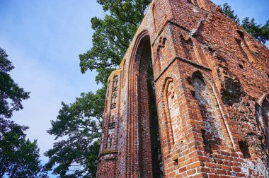 Almanya 'nın Greifswald kentindeki bir halk parkındaki ortaçağ manastırı yıkıldı..