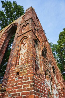Almanya 'nın Greifswald kentindeki bir halk parkındaki ortaçağ manastırı yıkıldı..