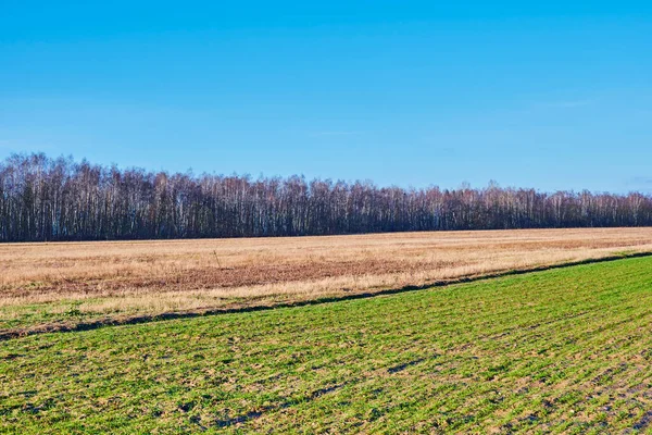 Vista Sobre Los Campos Borde Berlín Día Soleado Invierno — Foto de Stock