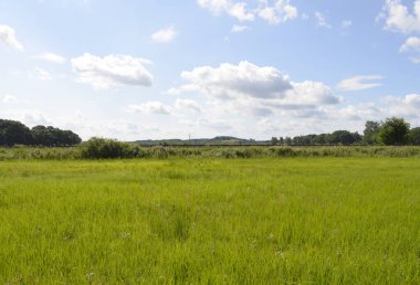 Almanya 'nın Baltık Denizi Adası' ndaki çayırlar ve ağaçlar. Ufukta beyaz bulutlar ve demiryolu seti olan mavi bir gökyüzünün altında.