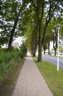 Bansin, Almanya - 20 Ağustos 2017: Bansin 'de kaldırımlı ve ağaçlı bir sokağa bakın 